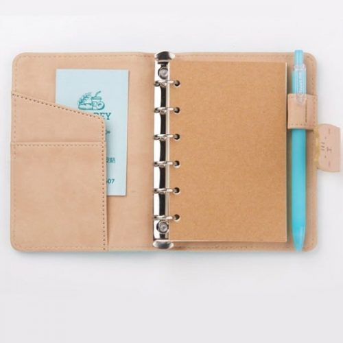 cicás füzet belső2